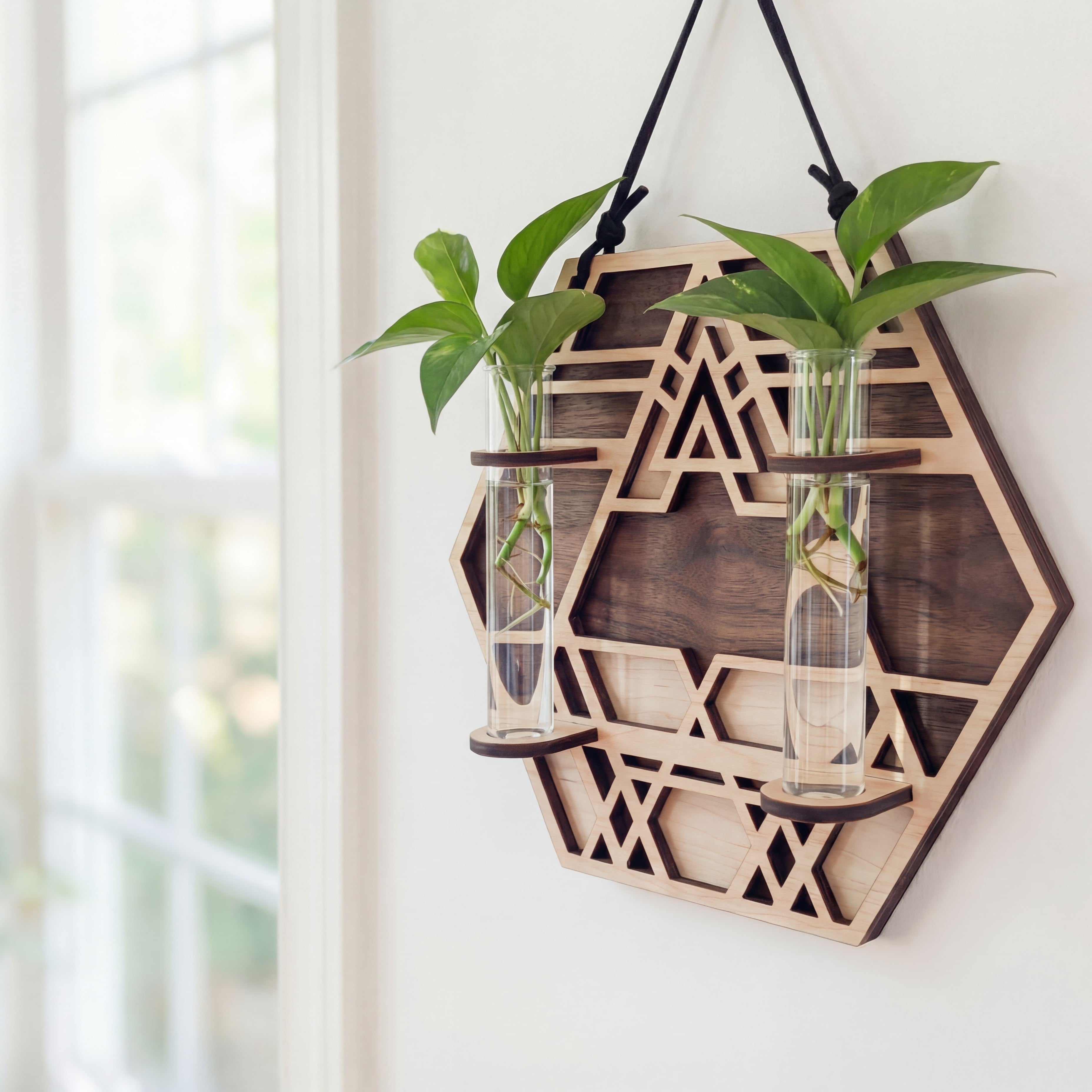 Geometric hexagon wall propagation station in layered maple wood with walnut-toned back layer and sacred geometry cutout design