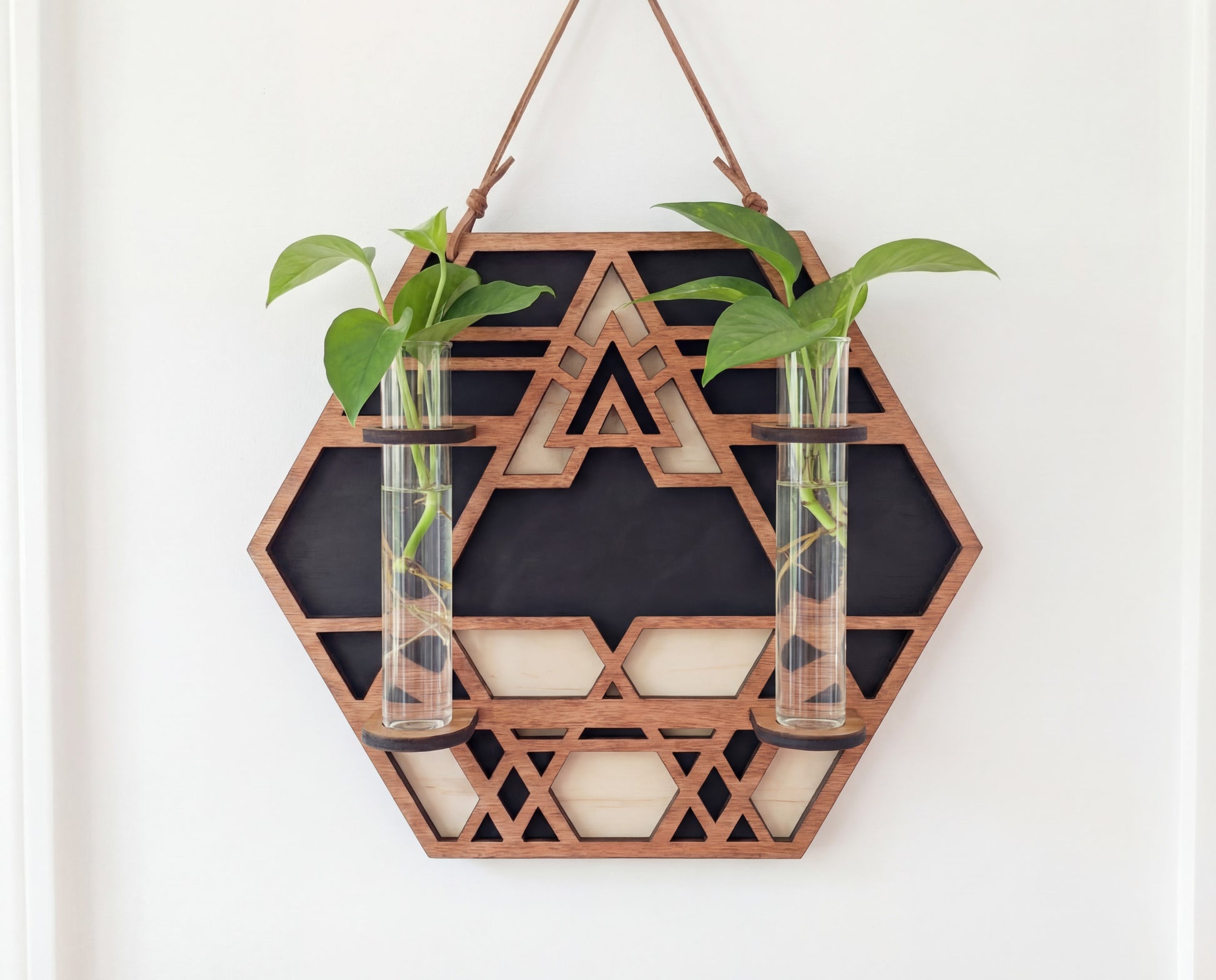 Geometric hexagon wall propagation station in layered maple veneer MDF with sacred geometry triangle detail, suede hanging strap, and two 6.25-inch by 1-inch glass vials holding pothos plant cuttings in water against a white wall.