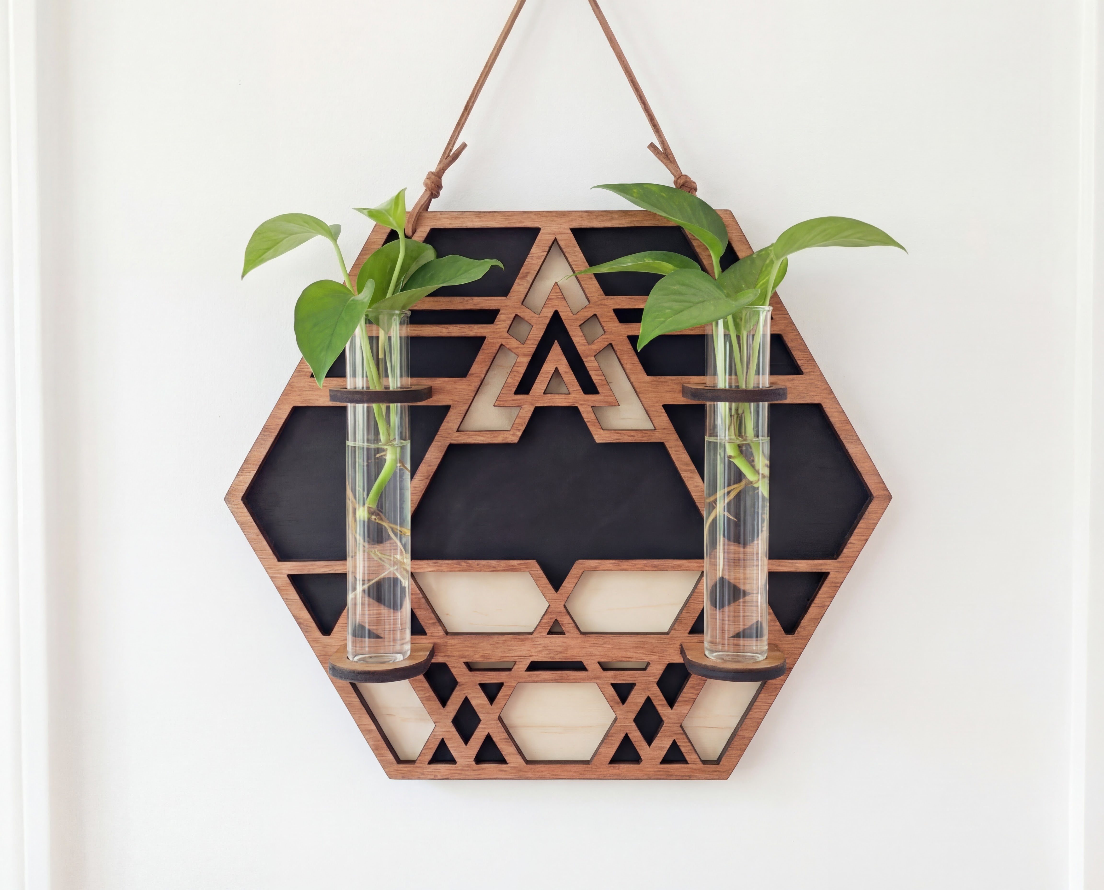 Geometric hexagon wall propagation station in layered maple veneer MDF with sacred geometry triangle detail, suede hanging strap, and two 6.25-inch by 1-inch glass vials holding pothos plant cuttings in water against a white wall.