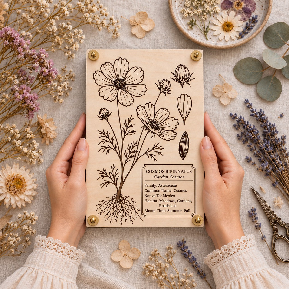 Cosmos botanical flower press held in hand and surrounded by dried flowers and pressed botanicals. The natural maple wood press features detailed Cosmos bipinnatus engraving, botanical information, and brass hardware, shown in a styled floral workspace.