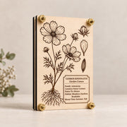 Cosmos flower press featuring a detailed botanical engraving of Cosmos bipinnatus on natural maple wood, finished with brass hardware. Shown standing upright at a slight angle to display the layered press construction and engraved floral design.