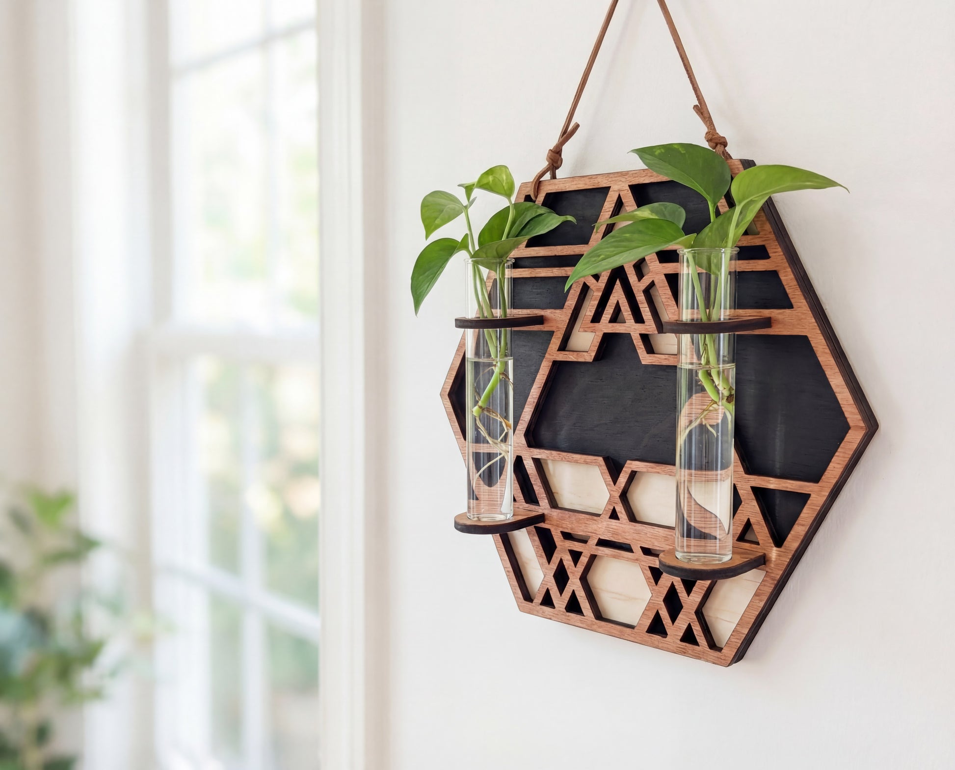 Geometric hexagon wall propagation station made from layered maple veneer MDF with sacred geometry cutout design, hanging by suede strap and holding two 6.25-inch by 1-inch glass vials with green pothos cuttings in water near a bright window.