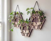 XL trio geometric wall propagation station made from layered maple wood with walnut-toned back layers and sacred geometry cutout design, hanging from black suede straps and holding six clear glass vials with pothos and monstera cuttings in water on a white wall near a window.