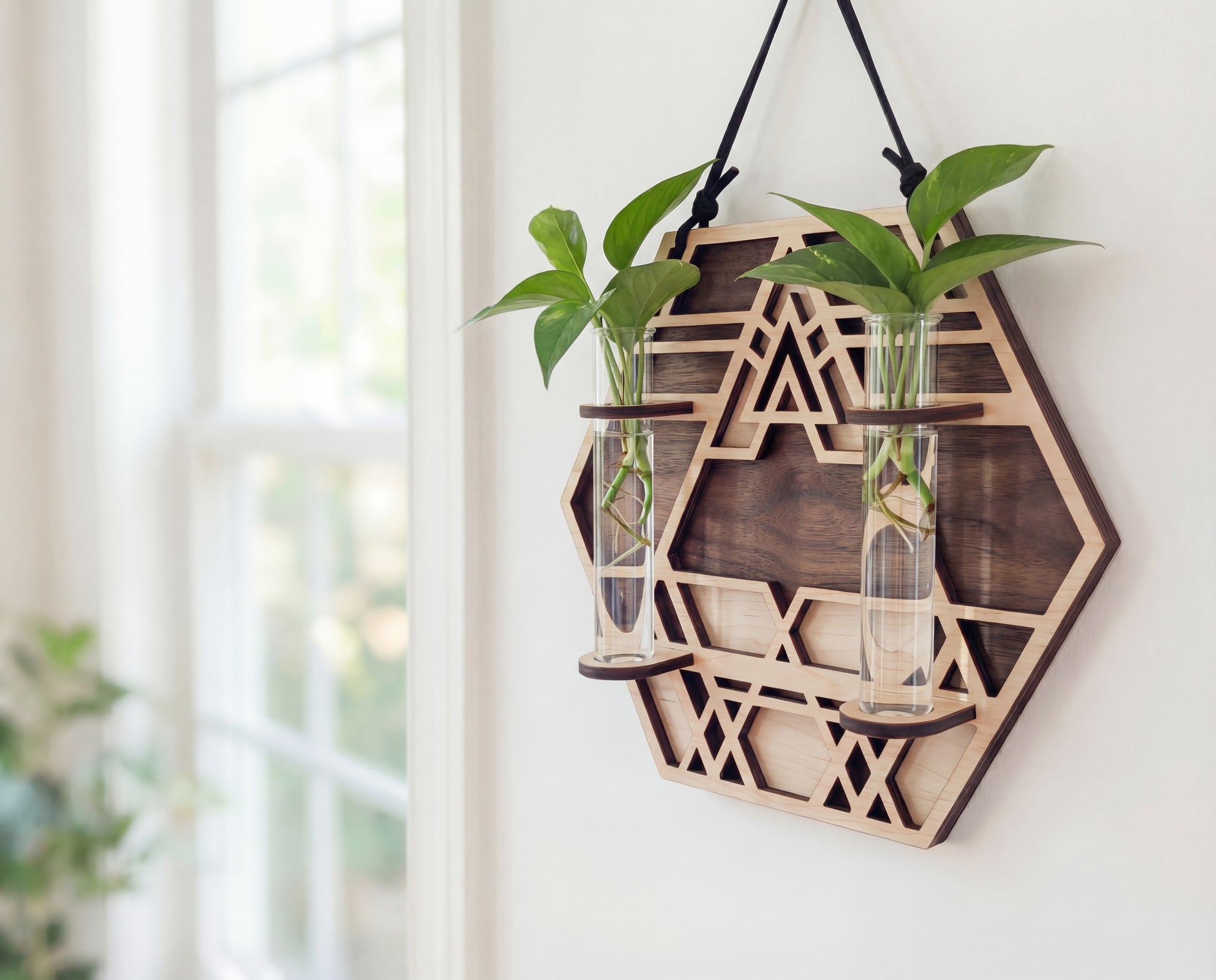 Geometric hexagon wall propagation station in layered maple wood with walnut-toned back layer and sacred geometry cutout design, hanging from a black suede strap and holding two clear glass vials with green plant cuttings in water, styled as modern boho wall decor by a bright window.