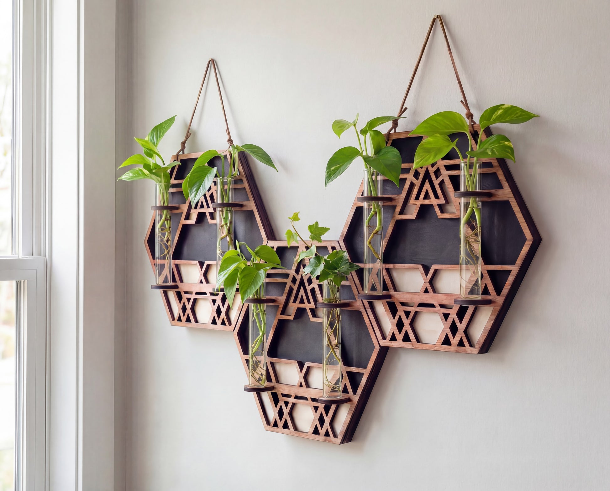 XL trio geometric wall propagation station in layered maple veneer MDF with sacred geometry cutout design, three connected hexagon panels, suede hanging straps, and six 6.25-inch by 1-inch glass vials holding pothos cuttings, styled as modern boho plant wall decor near a window.