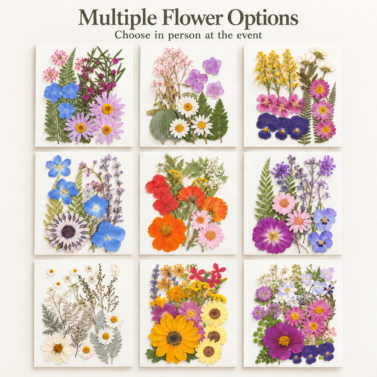 Multiple pressed flower pack options available for a pressed flower art workshop, featuring assorted floral color palettes for guests to choose from in person.