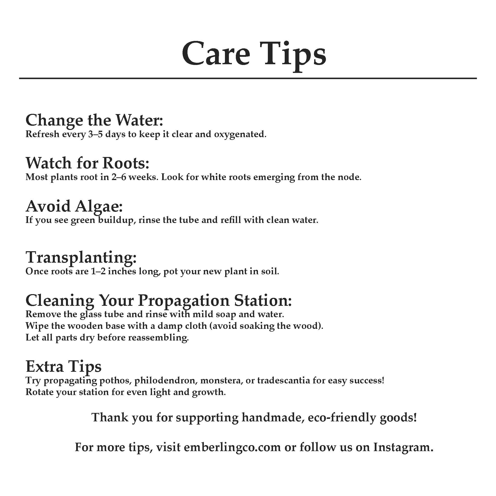 Care tips for plants on a white background